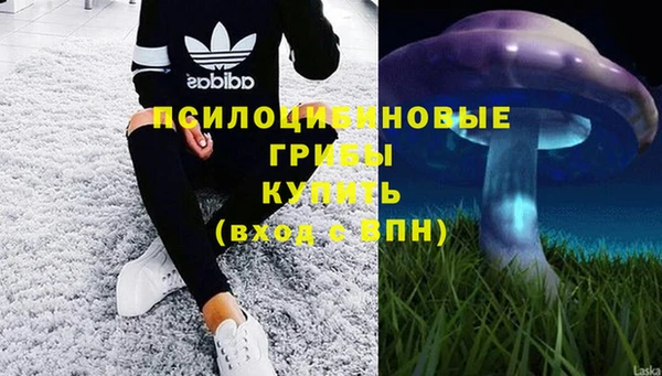 таблы Арсеньев