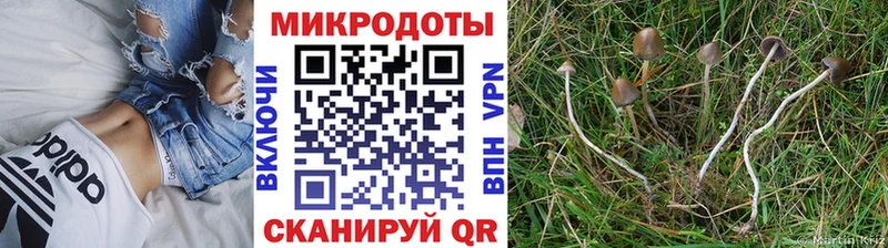 Галлюциногенные грибы мухоморы  ссылка на мегу маркетплейс  Покровск 