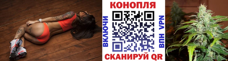 МАРИХУАНА сатива  купить   Покровск 